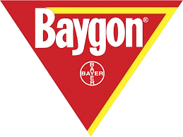 baygona-removebg-preview